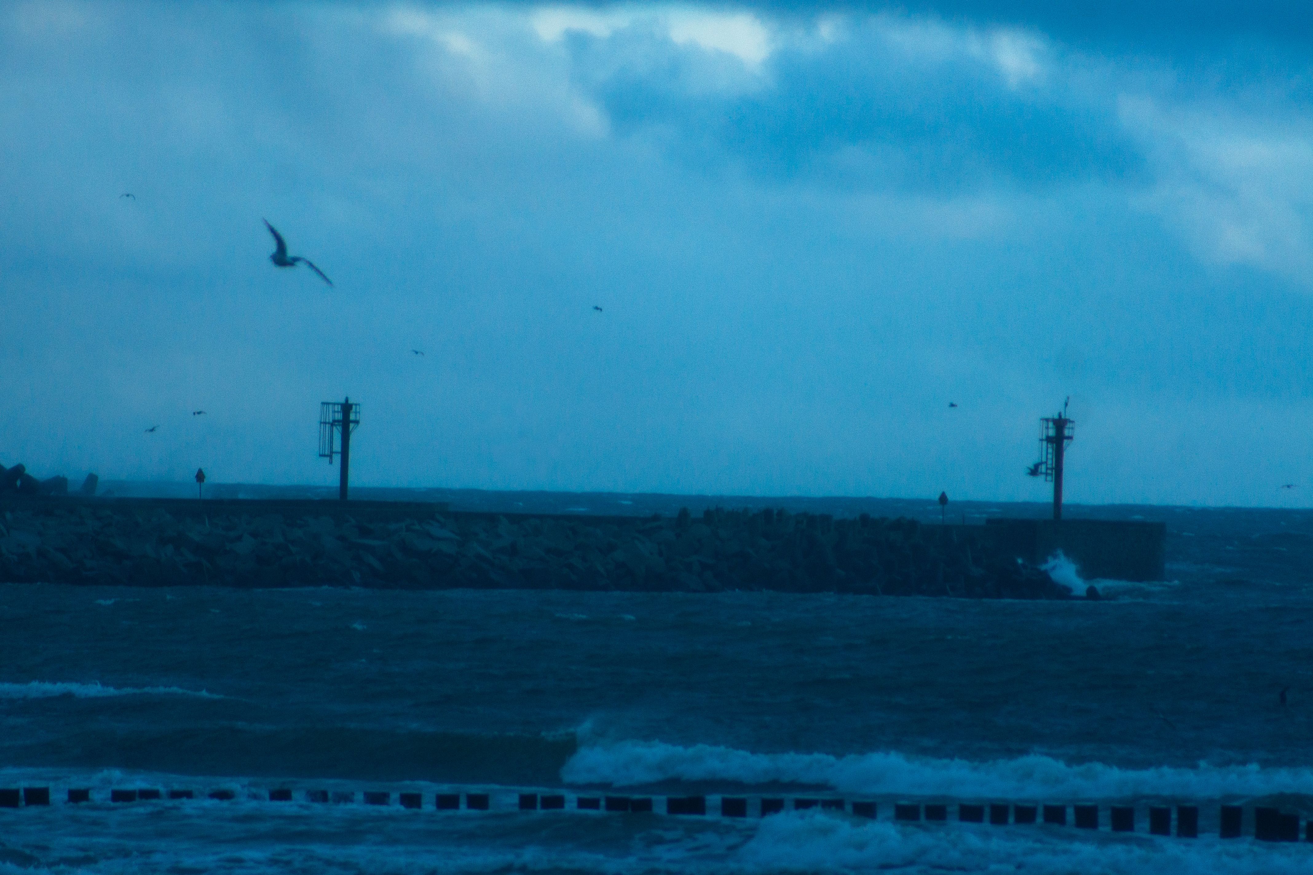 Zdjęcie 11 (legacy)