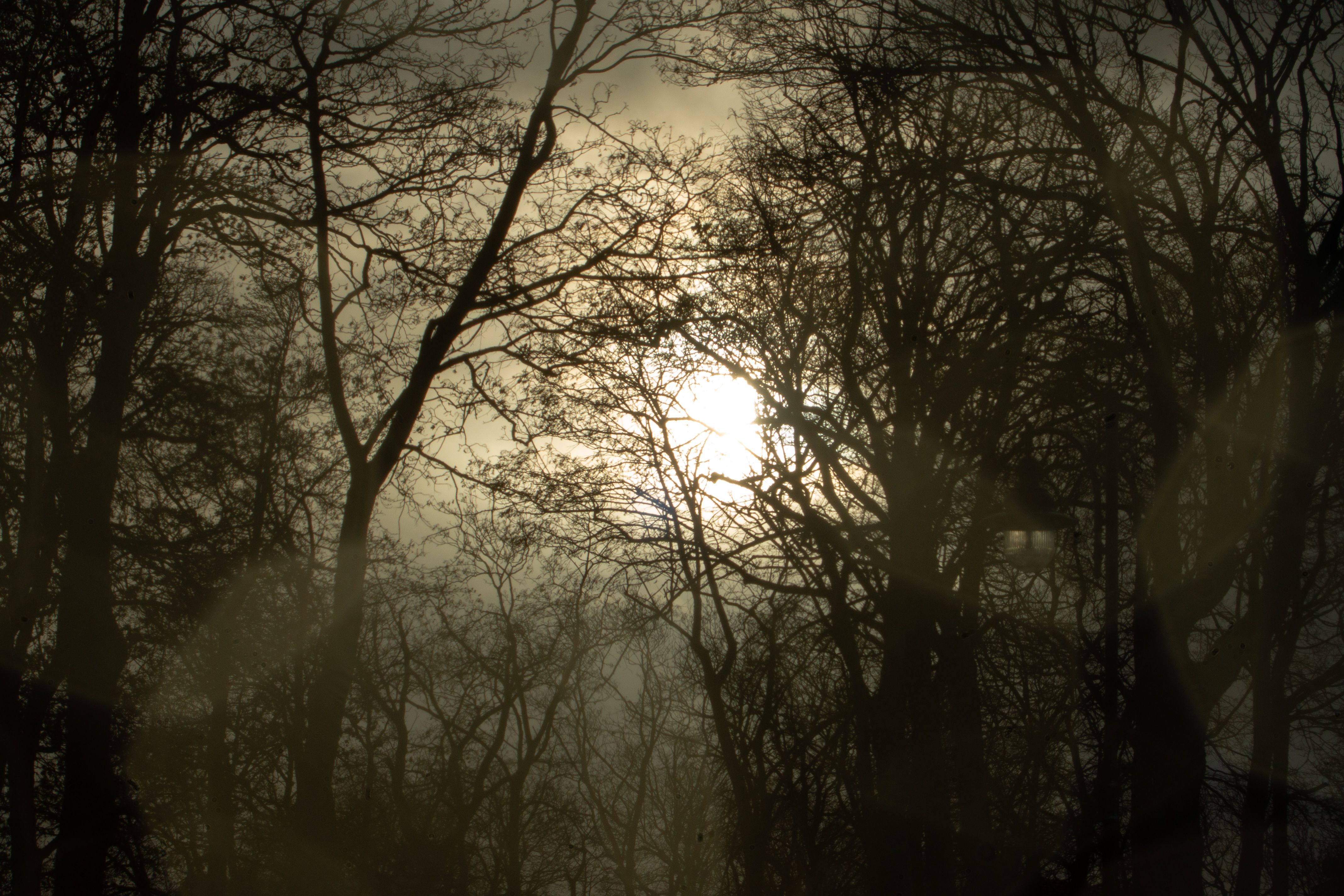 Zdjęcie 13 (legacy)