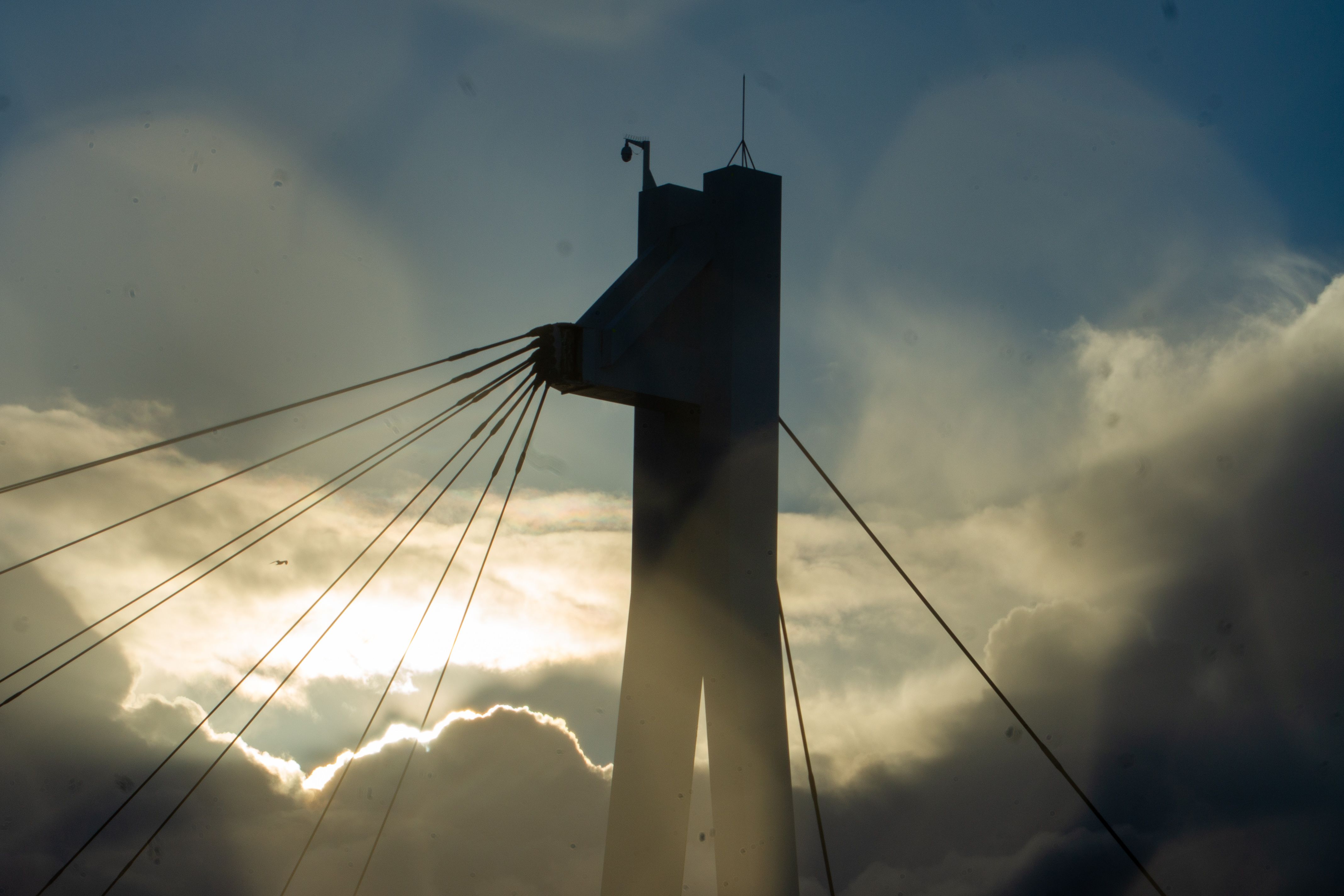 Zdjęcie 14 (legacy)