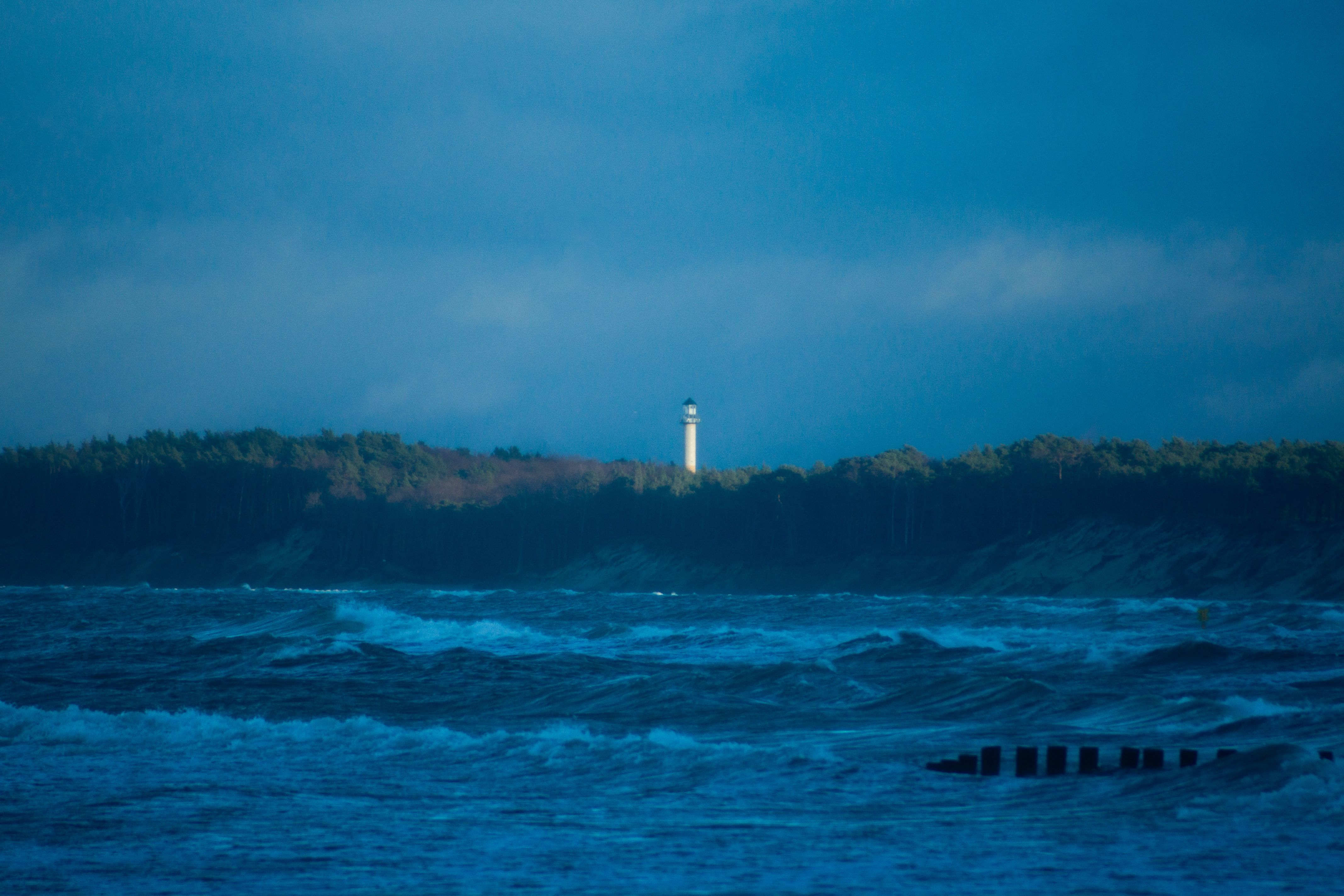 Zdjęcie 15 (legacy)