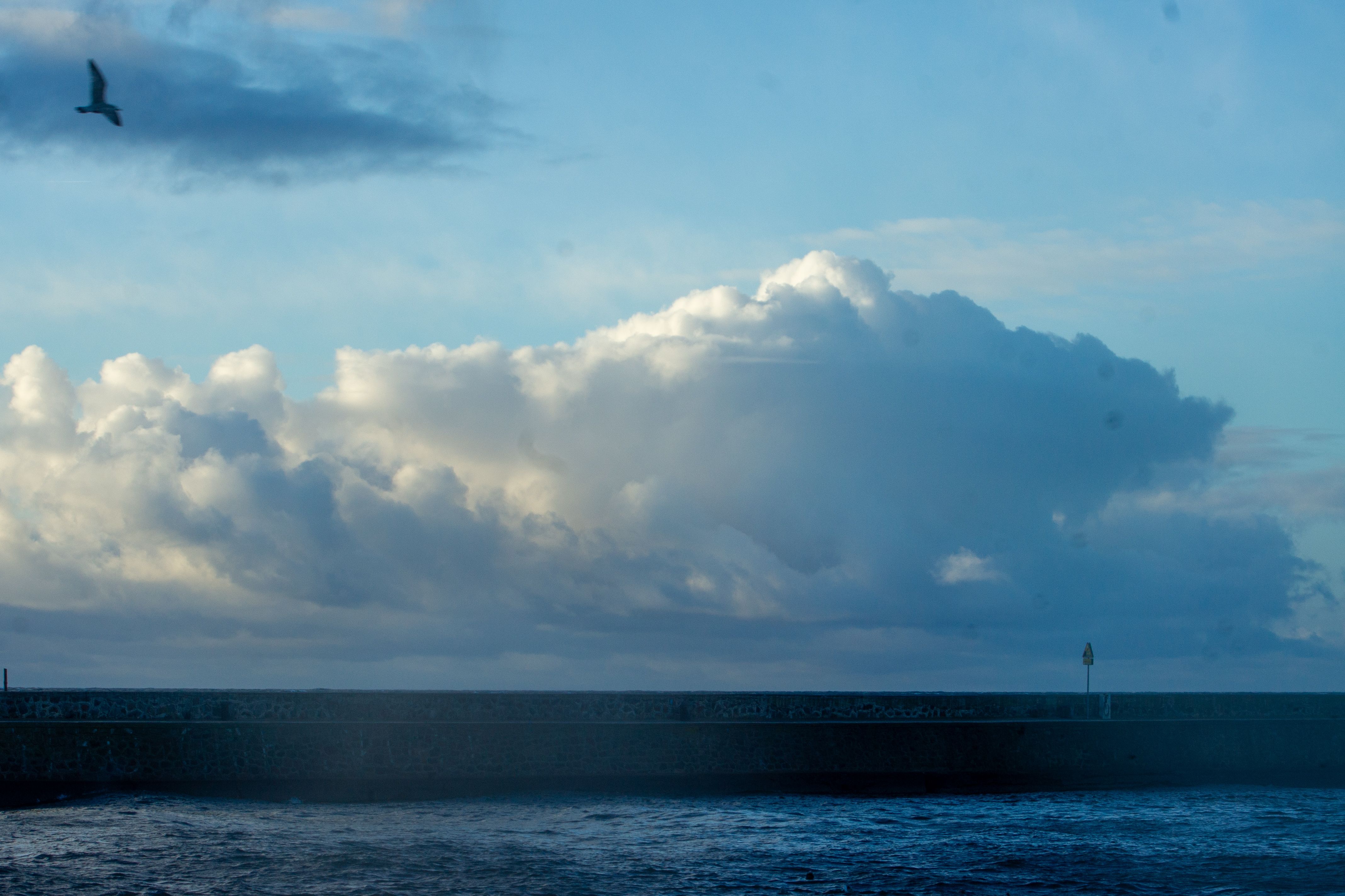 Zdjęcie 18 (legacy)