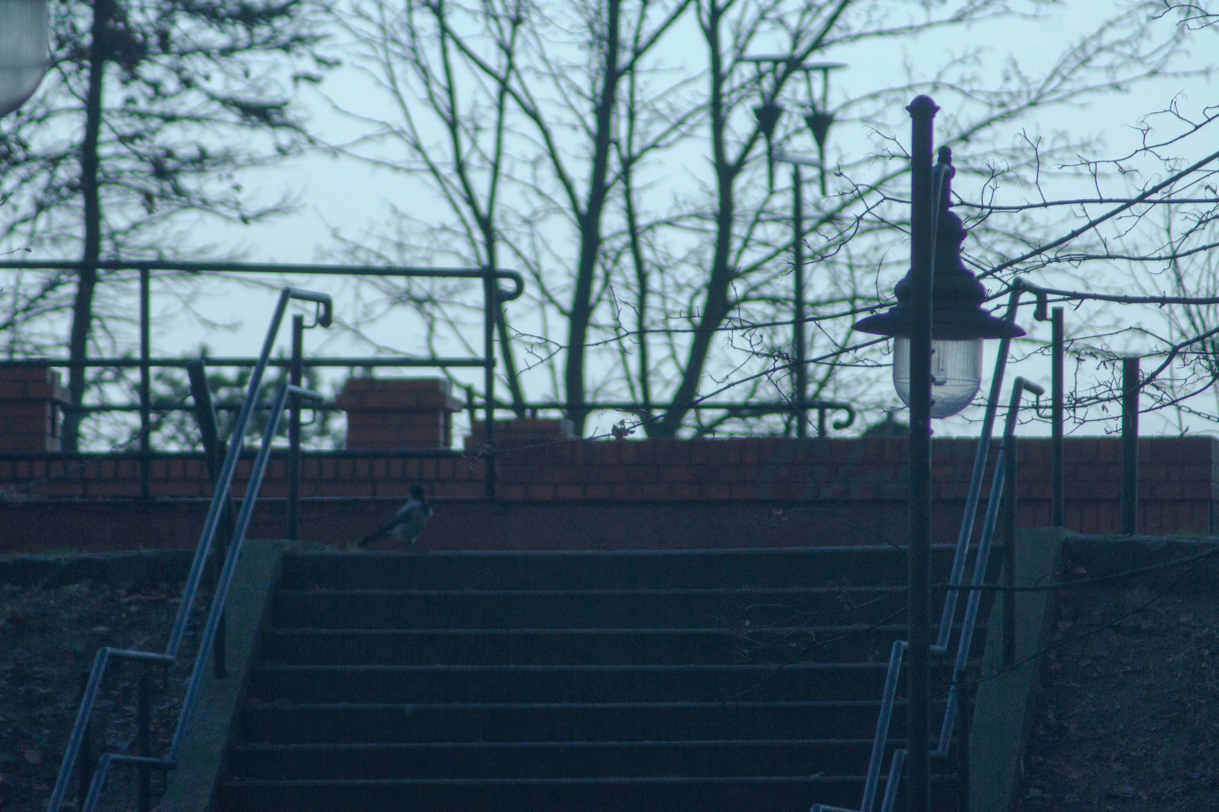 Zdjęcie 19 (legacy)