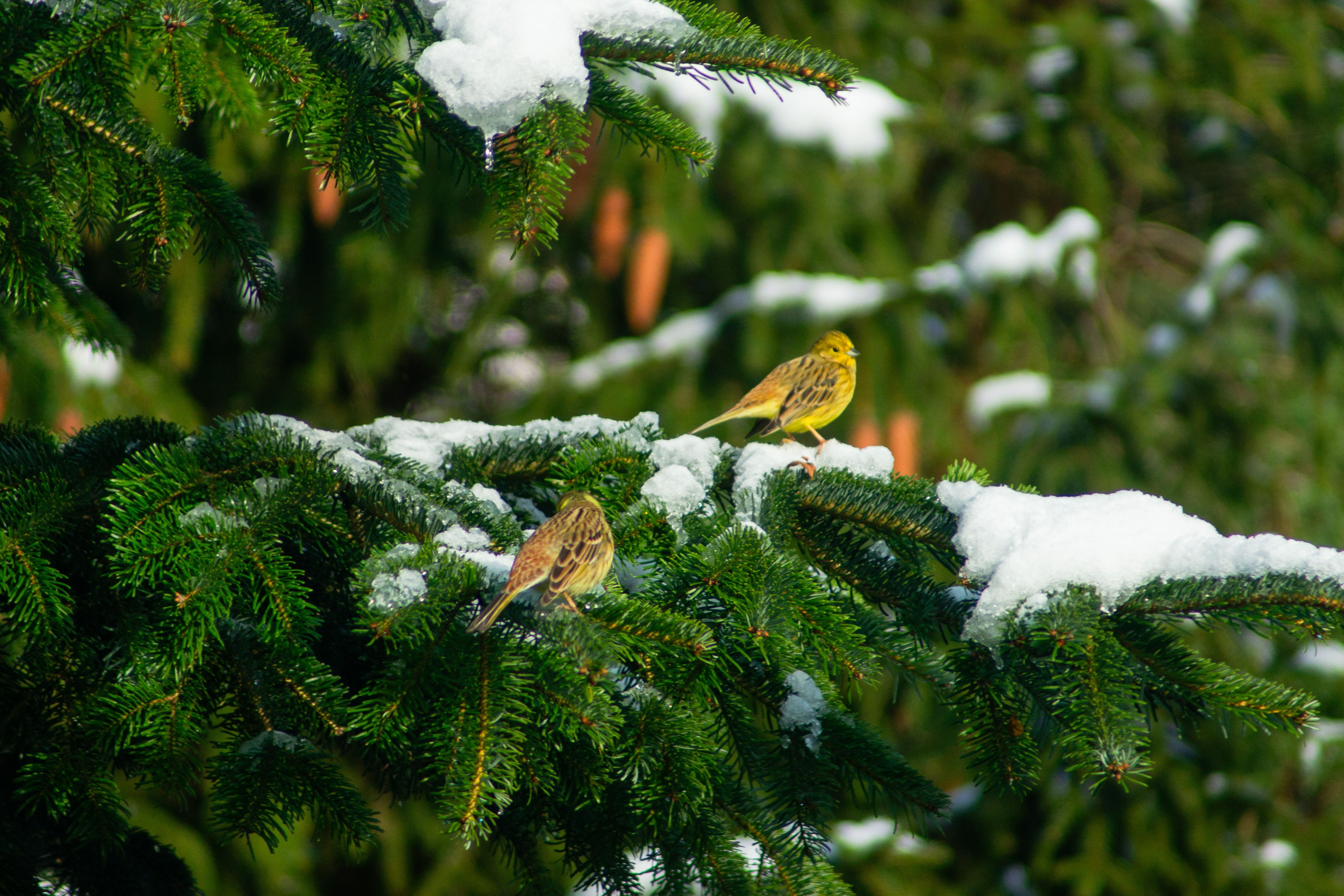 Zdjęcie 20 (legacy)