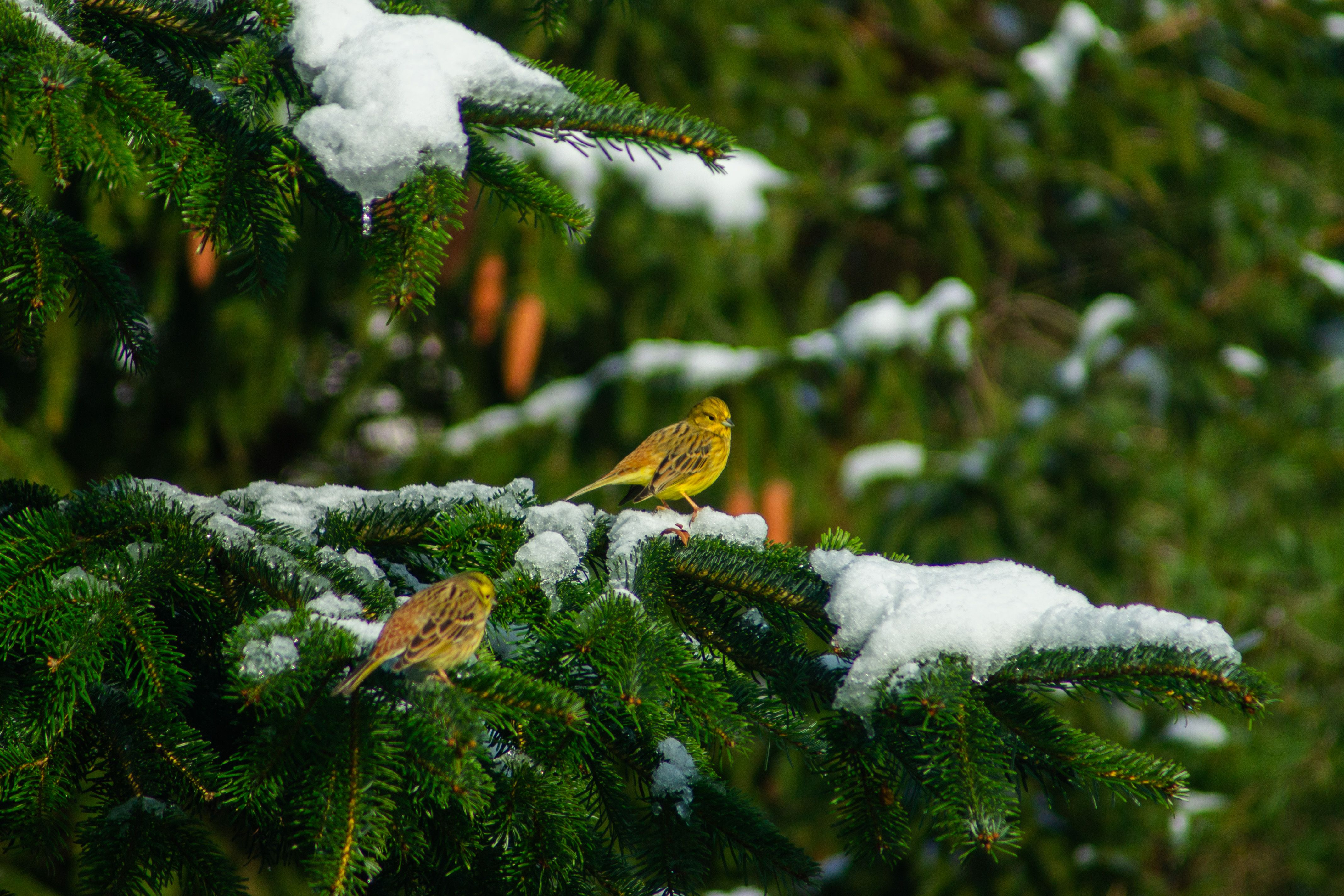 Zdjęcie 21 (legacy)