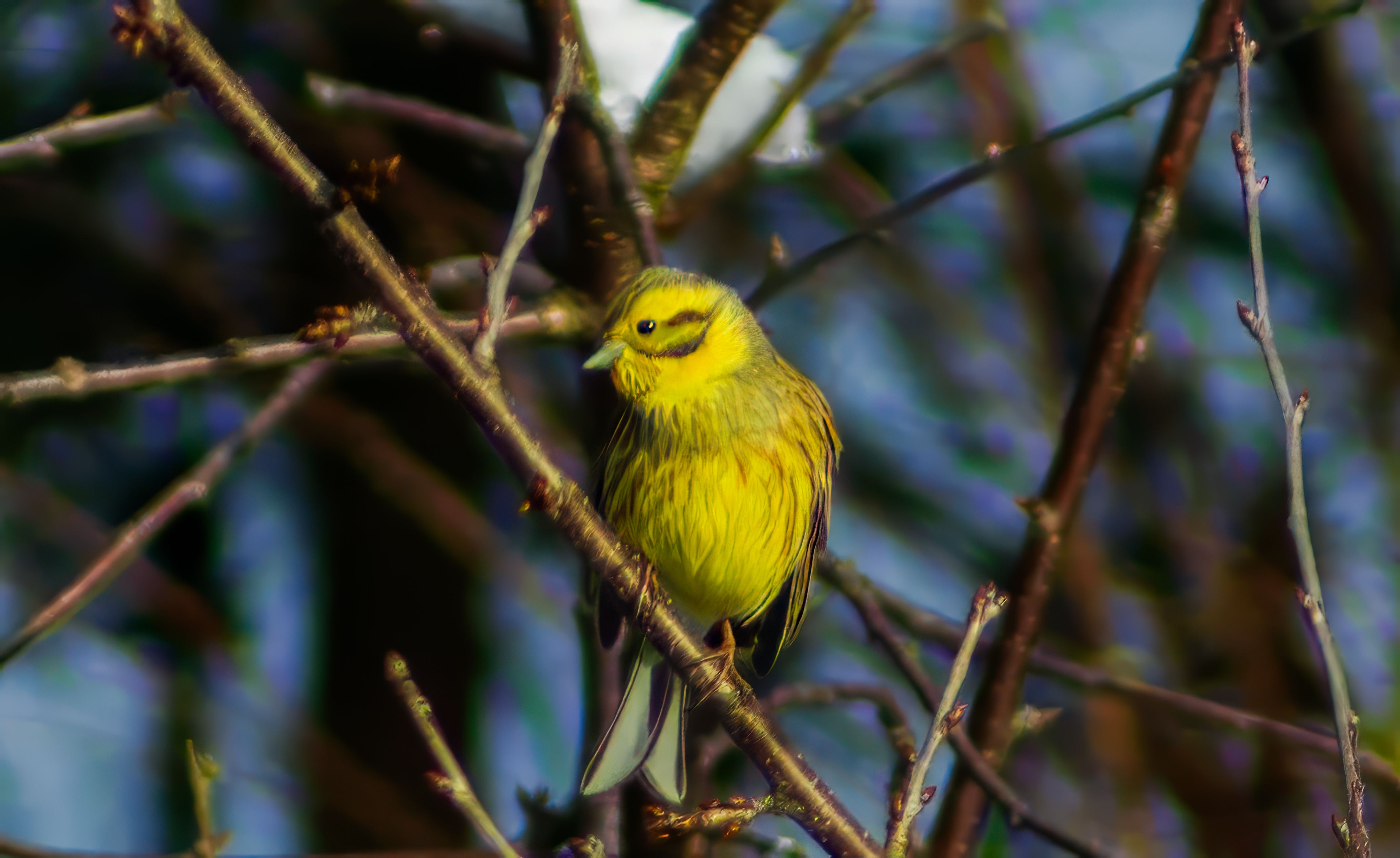 Zdjęcie 23 (legacy)