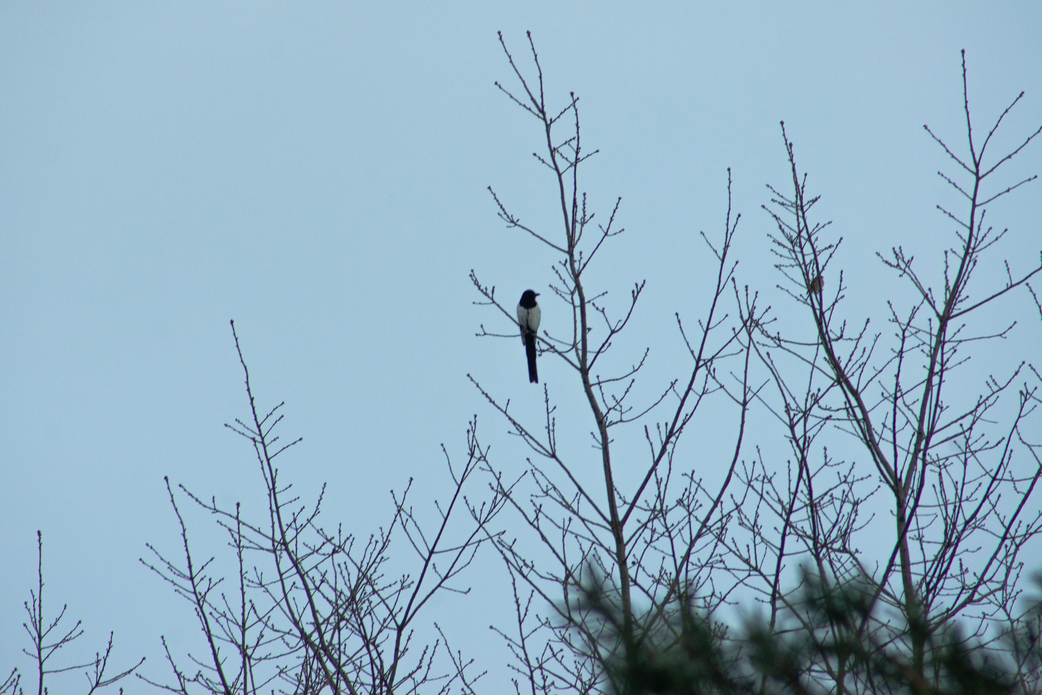 Zdjęcie 24 (legacy)