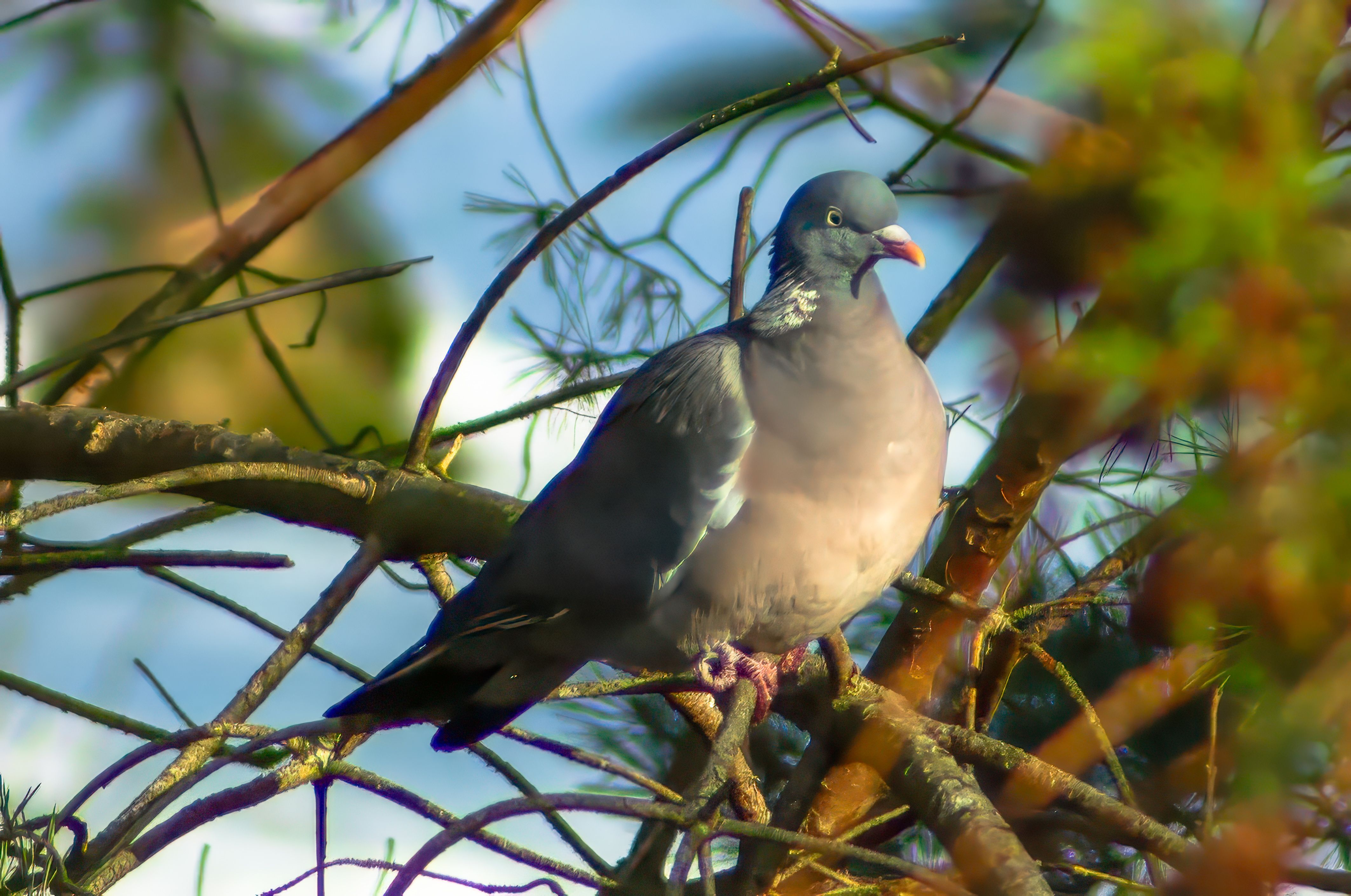 Zdjęcie 25 (legacy)