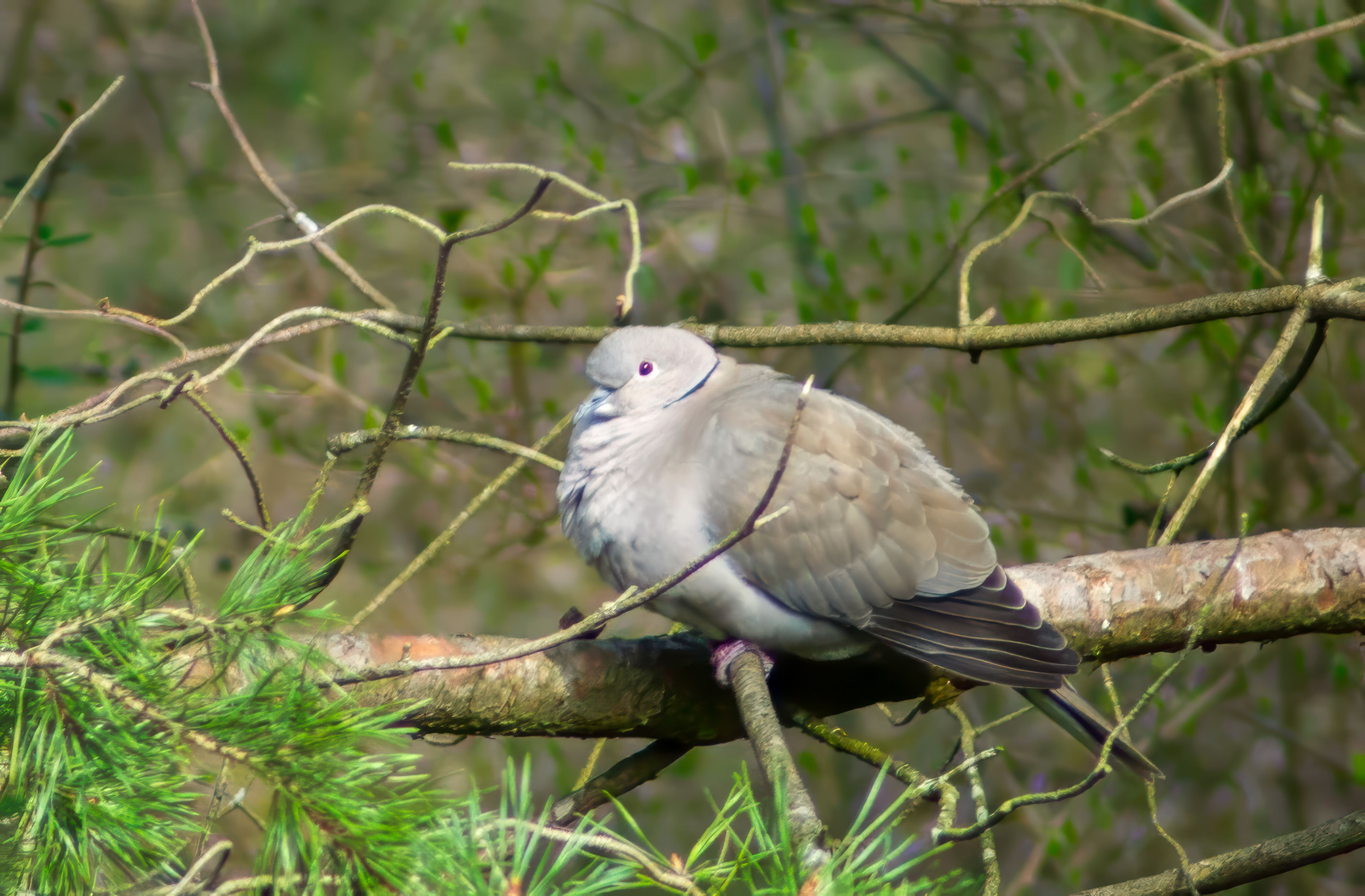 Zdjęcie 27 (legacy)