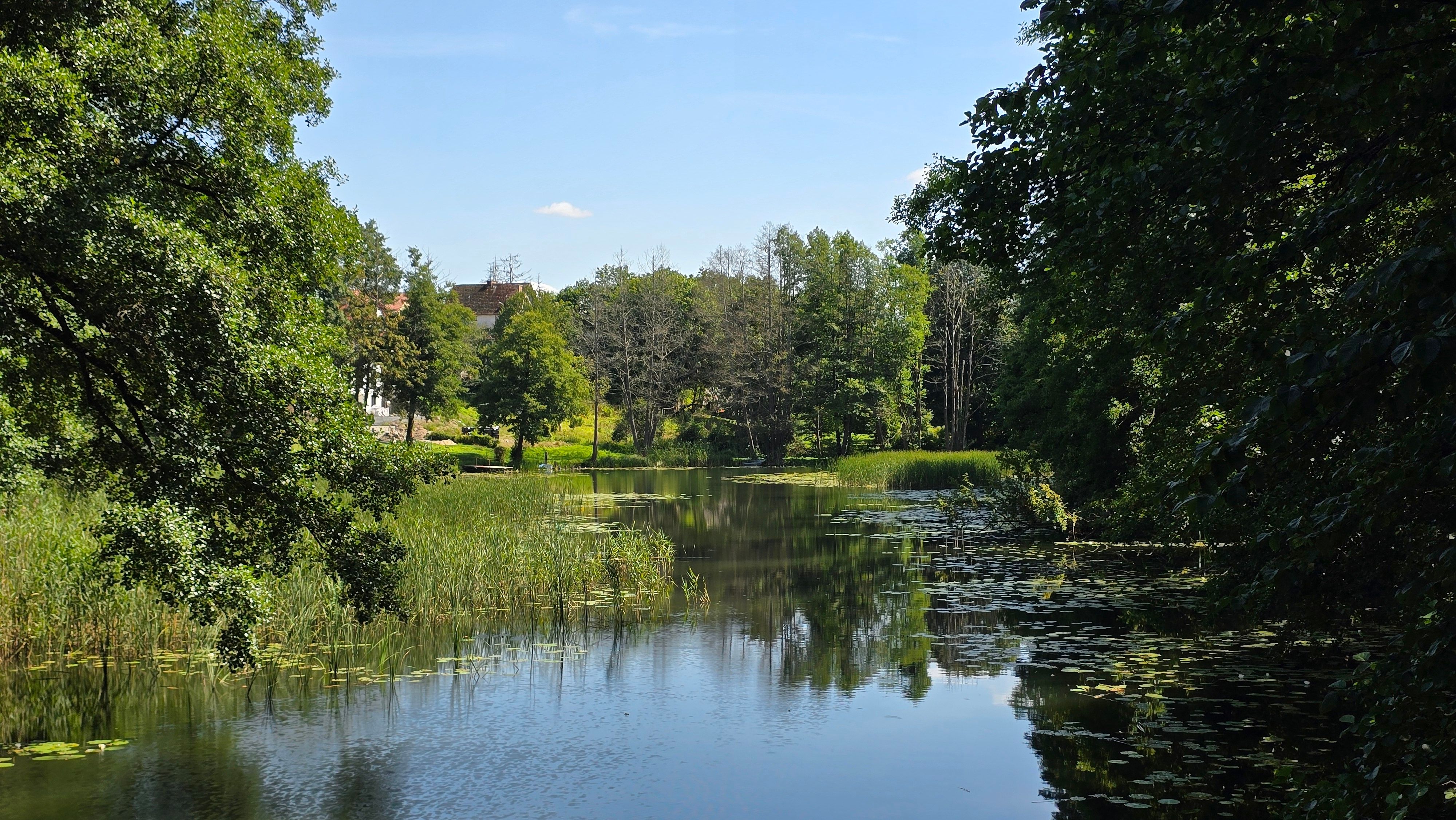 Zdjęcie 29 (legacy)