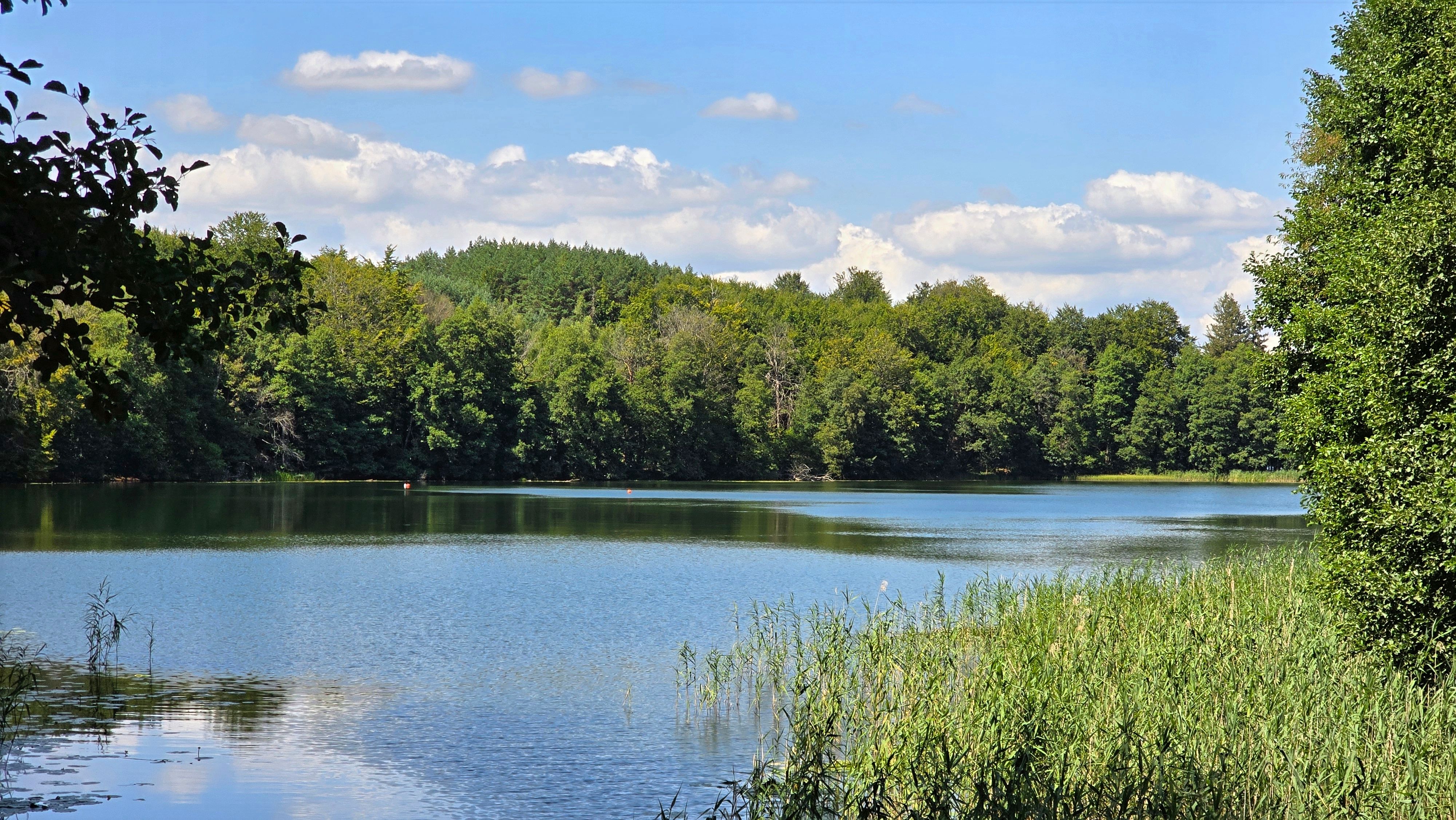 Zdjęcie 31 (legacy)