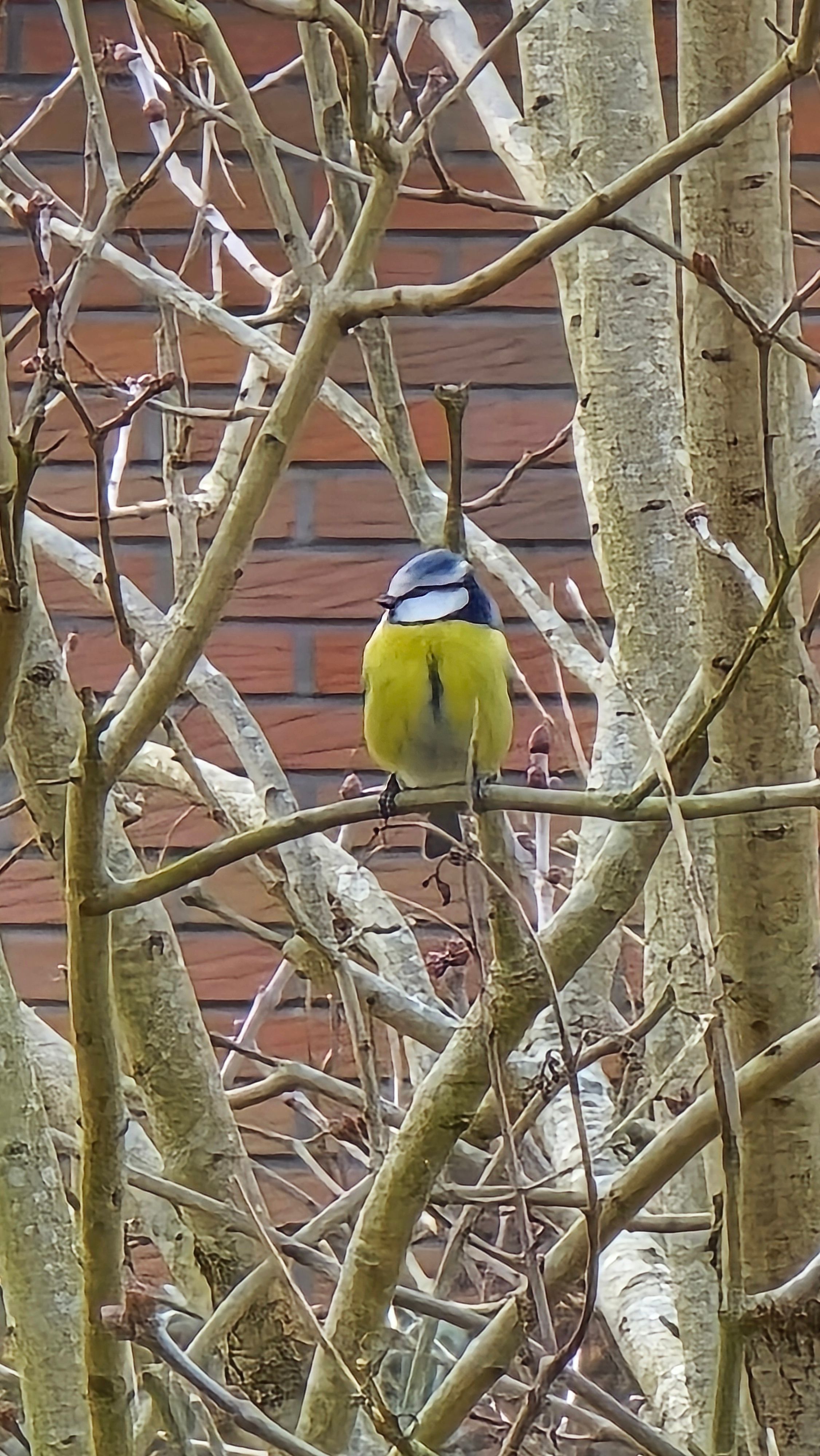 Zdjęcie 33 (legacy)